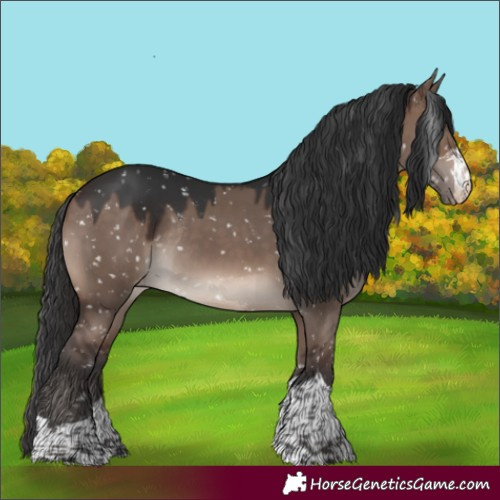 Horse Color:Brown Dun Mushroom Appaloosa Rabicano