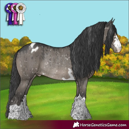 Horse Color:Grullo Mushroom Appaloosa Rabicano Brindle