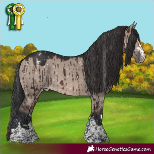 Horse Color:Brown Dun Mushroom Appaloosa Rabicano Brindle 