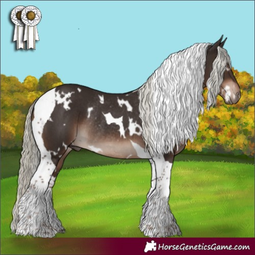 Horse Color:White Spotted Liver Chestnut Mushroom Tobiano Rabicano 