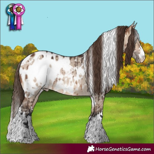 Horse Color:White Spotted Bay Dun Mushroom Appaloosa Rabicano Brindle