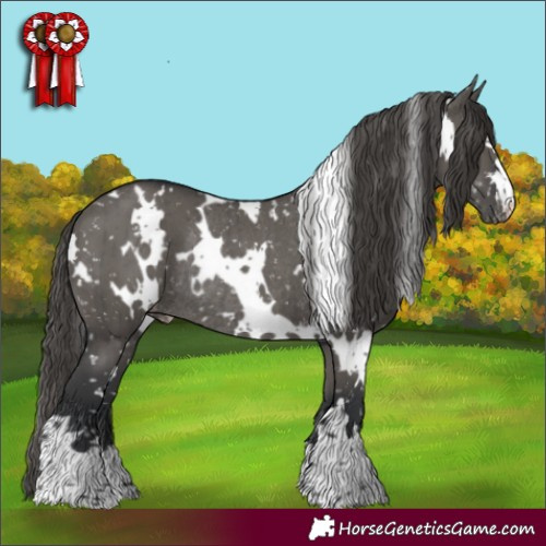 Horse Color:White Spotted Grullo Mushroom Appaloosa Rabicano Brindle 