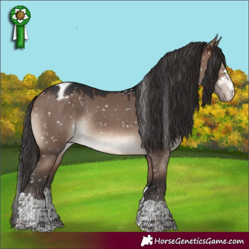 Horse Color:Brown Dun Mushroom Appaloosa Rabicano