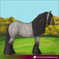 Horse Color:Smoky Grullo Roan 