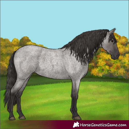 Horse Color:Smoky Grullo Roan