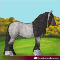 Horse Color:Smoky Grullo Roan
