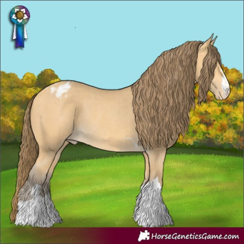 Horse Color:Amber Cream Champagne Appaloosa Rabicano 