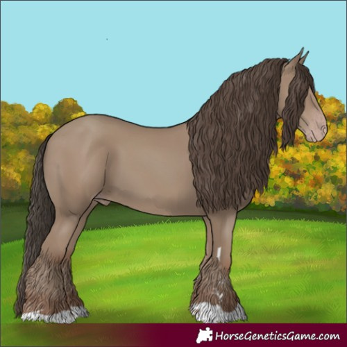 Horse Color:Classic Champagne 