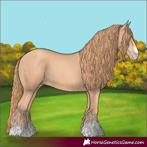 Horse Color:Gold Champagne
