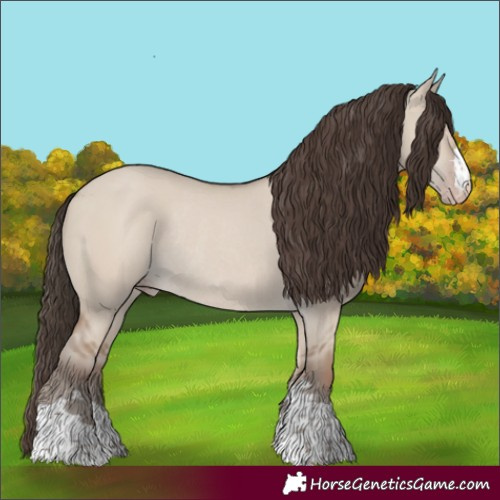 Horse Color:Classic Champagne Dun Rabicano