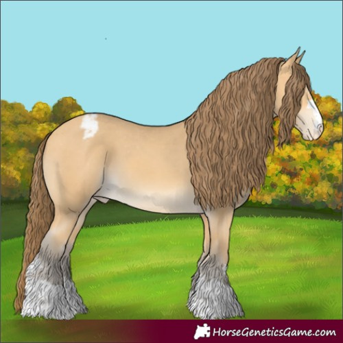 Horse Color:Amber Cream Champagne Appaloosa