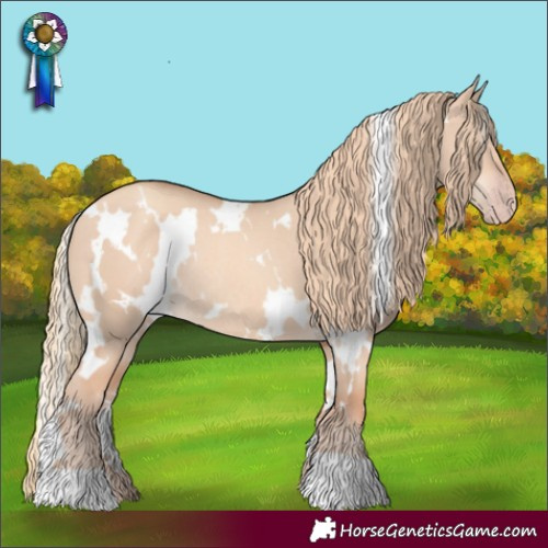 Horse Color:White Spotted Gold Champagne Dun Rabicano