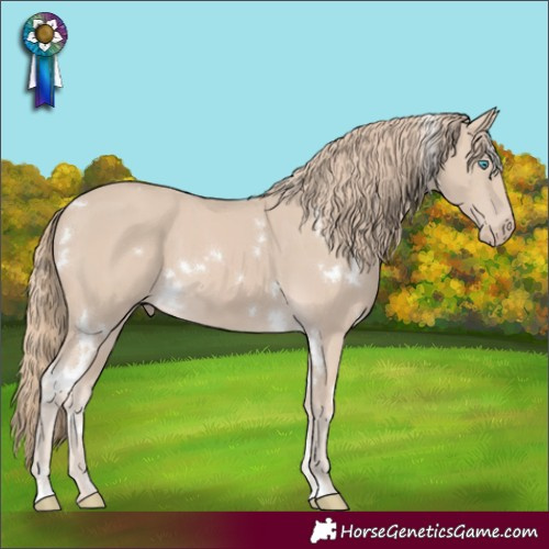Horse Color:White Spotted Smoky Creme 
