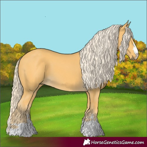 Horse Color:Palomino