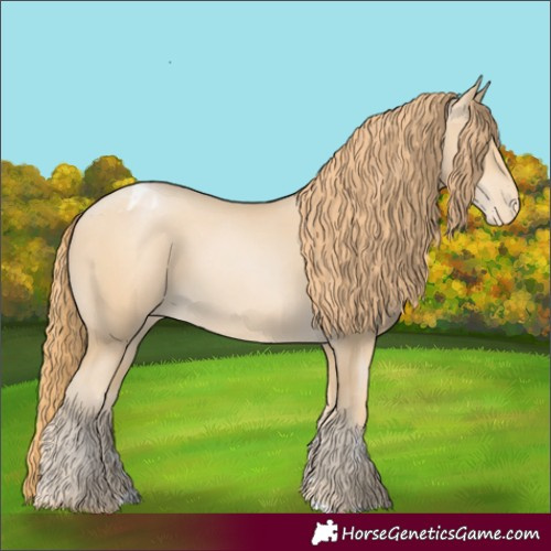 Horse Color:Smoky Black Pearl Appaloosa