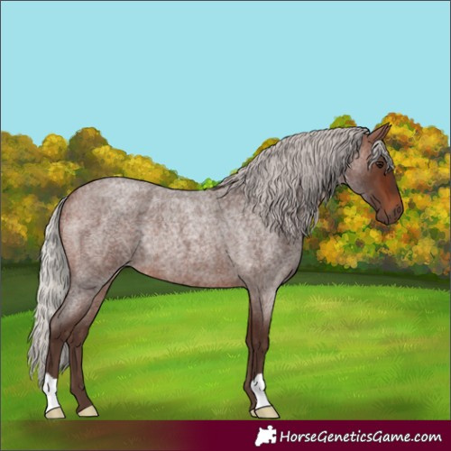 Horse Color:Silver Brown Roan Rabicano 