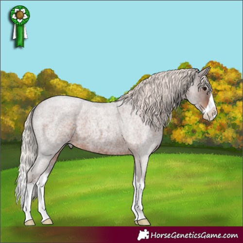 Horse Color:Silver Brown Roan Splash 