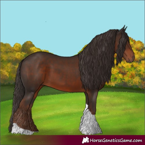 Horse Color:Liver Chestnut Tobiano