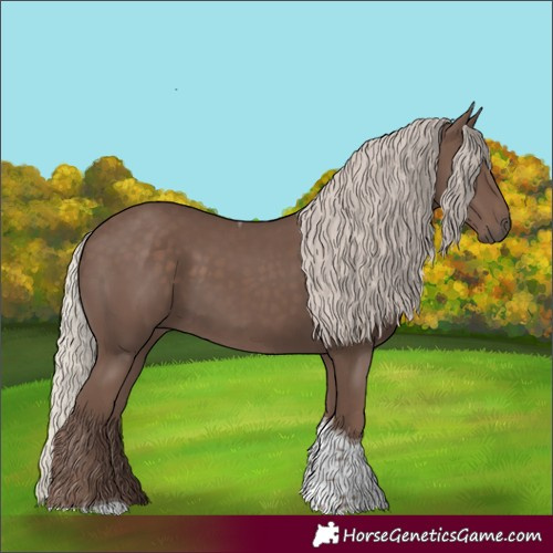 Horse Color:Silver Black Tobiano