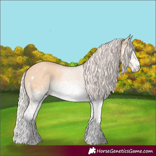 Horse Color:White Spotted Silver Bay Dun Rabicano 