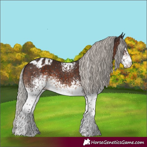 Horse Color:White Spotted Silver Brown Appaloosa 