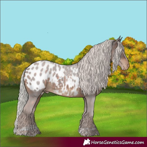 Horse Color:Silver Brown Tobiano Appaloosa