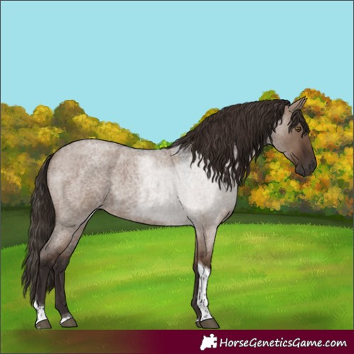 Horse Color:Liver Red Dun Roan Tobiano 