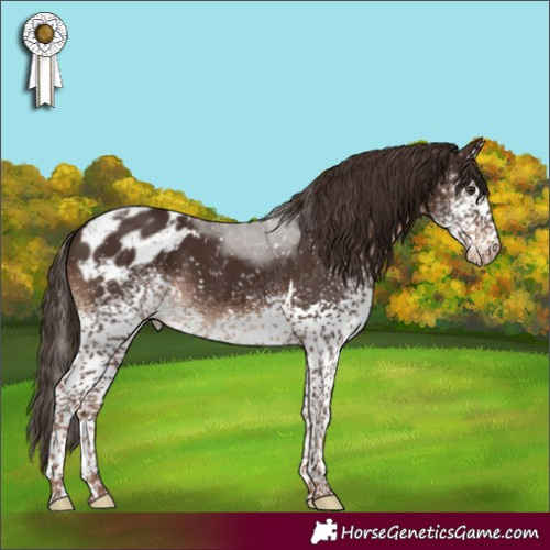 Horse Color:White Spotted Liver Chestnut Tobiano Skewed Appaloosa