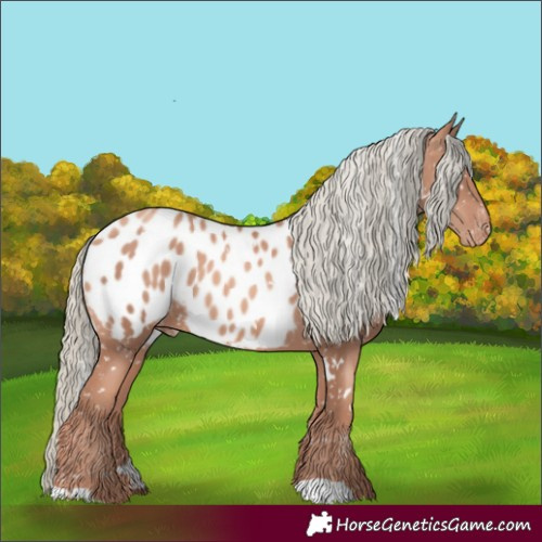 Horse Color:White Spotted Gold Champagne Mushroom Appaloosa
