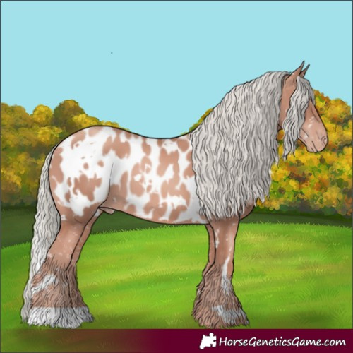 Horse Color:White Spotted Gold Champagne Mushroom Blanket