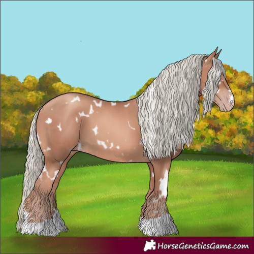 Horse Color:White Spotted Gold Champagne Mushroom