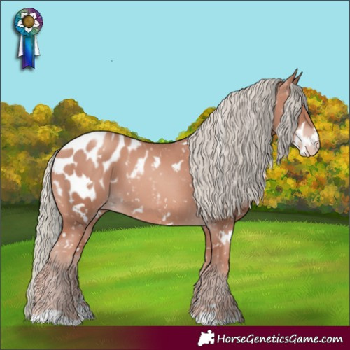 Horse Color:White Spotted Gold Champagne Mushroom Appaloosa 
