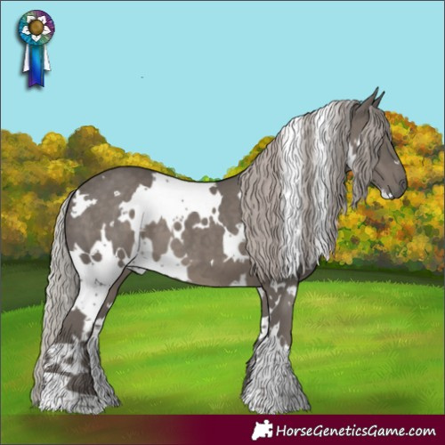 Horse Color:White Spotted Silver Black