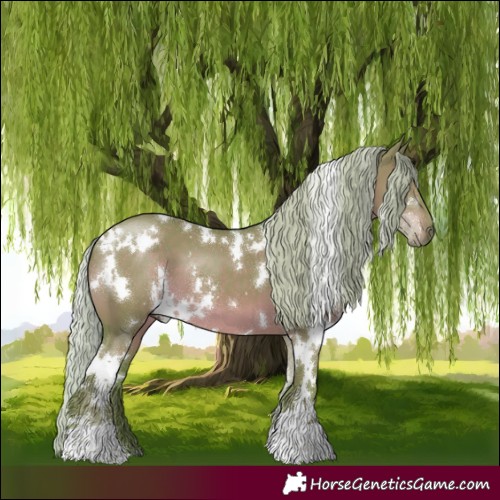 Horse Color:Watercolor White Spotted Silver Grullo 