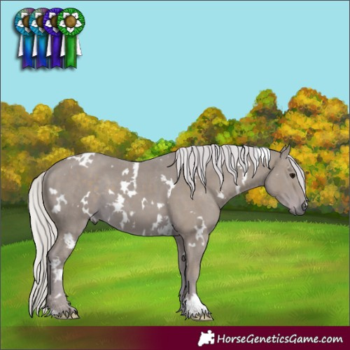 Horse Color:Watercolor White Spotted Silver Black