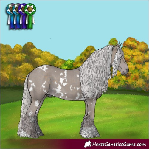 Horse Color:Watercolor White Spotted Silver Black