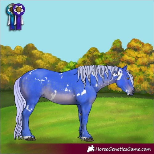 Horse Color:Watercolor White Spotted Silver Brown