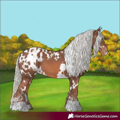 Horse Color:White Spotted Chestnut Mushroom Appaloosa