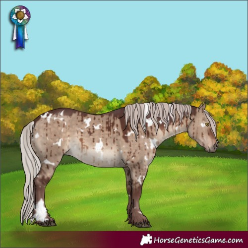 Horse Color:White Spotted Chocolate Silver Brown Dun Brindle