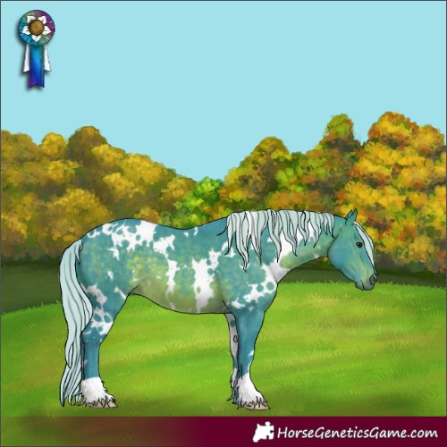 Horse Color:Watercolor White Spotted Silver Brown 