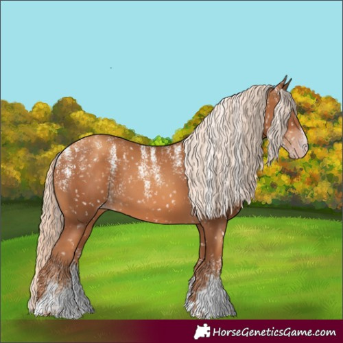 Horse Color:Powder White Gray Gold Champagne Mushroom Appaloosa