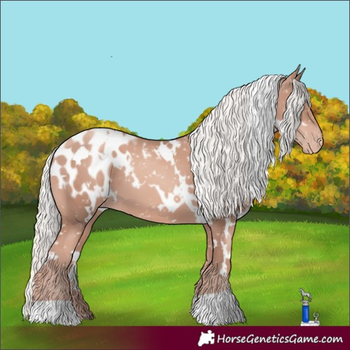 Horse Color:White Spotted Gold Champagne Mushroom Appaloosa 