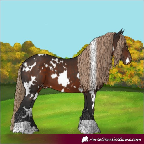 Horse Color:White Spotted Liver Chestnut Varnish 