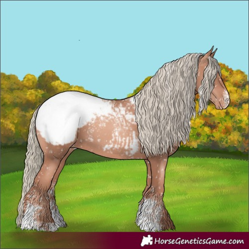Horse Color:Powder White Gold Champagne Mushroom Appaloosa 