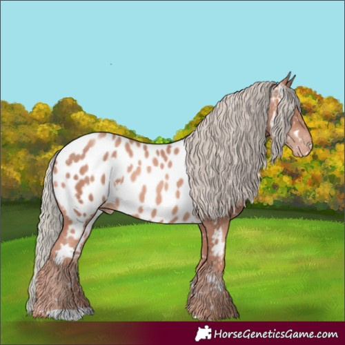 Horse Color:White Spotted Gold Champagne Mushroom Appaloosa
