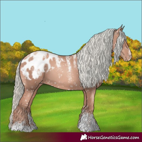 Horse Color:Powder White Gold Champagne Mushroom Appaloosa