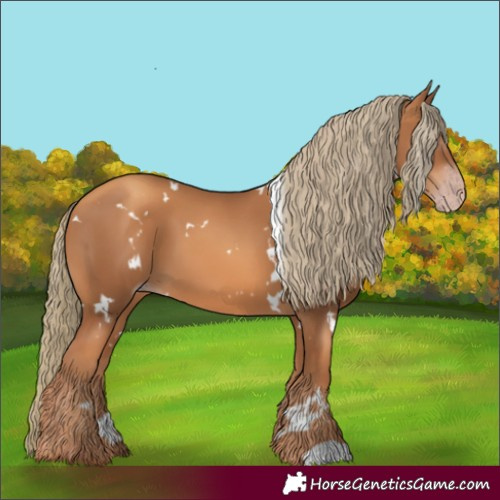Horse Color:Gray White Spotted Gold Champagne Mushroom
