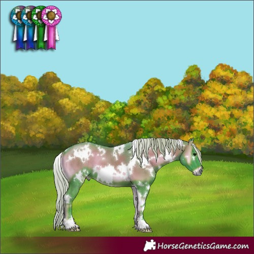 Horse Color:Watercolor White Spotted Silver Blue Onyx
