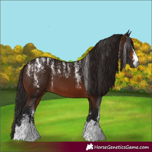 Horse Color:Powder White Gray Bay