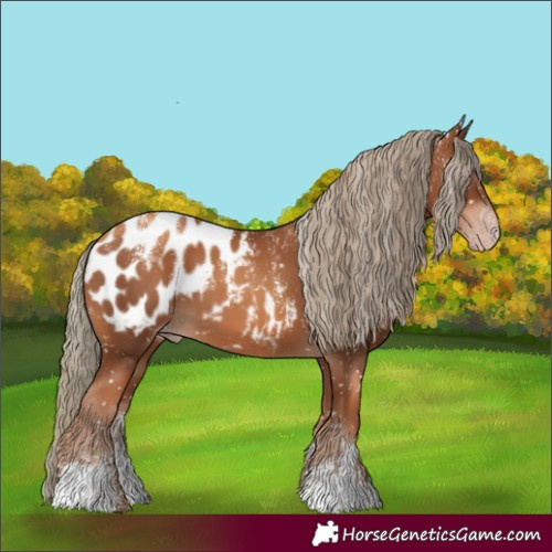 Horse Color:Powder White Gray Gold Champagne Mushroom Appaloosa